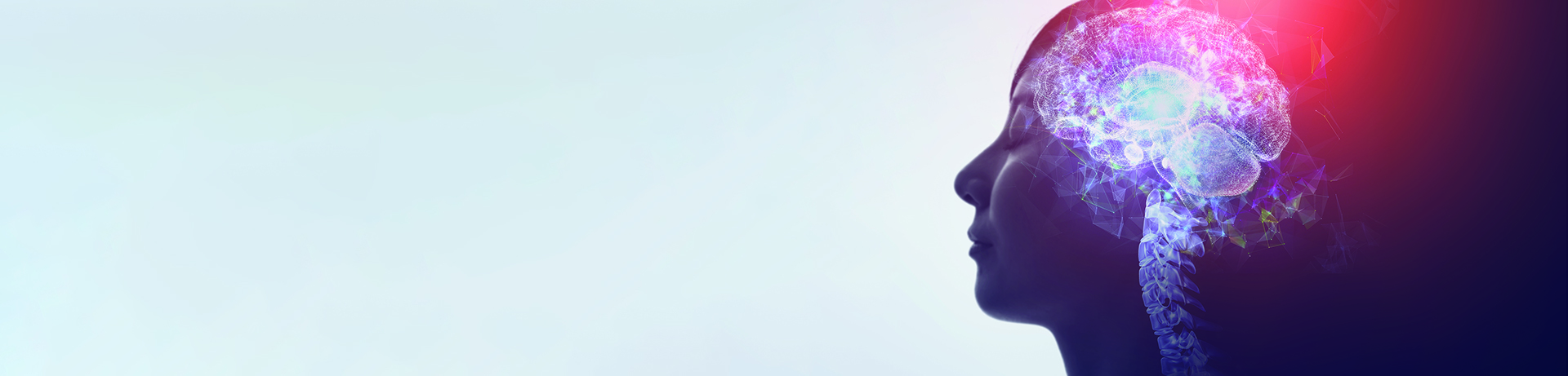 Brain  Spine hero 1920x461