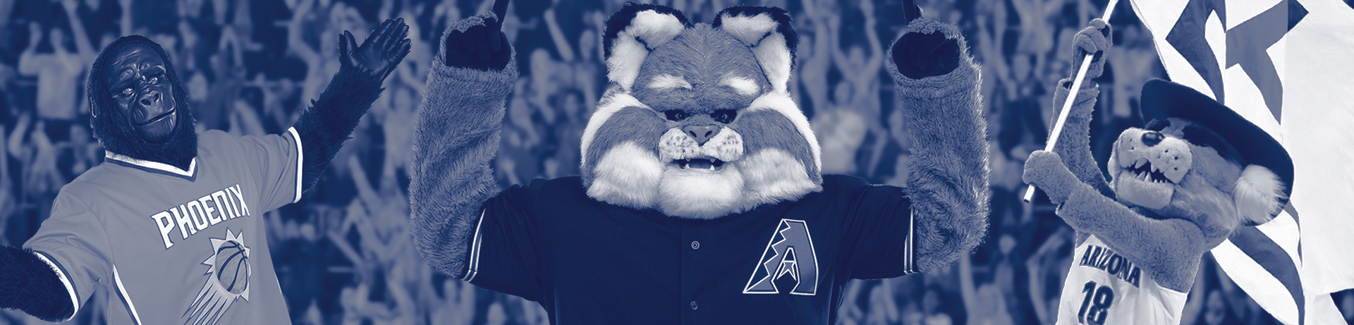 Sports_Medicine_Partnership_Hero