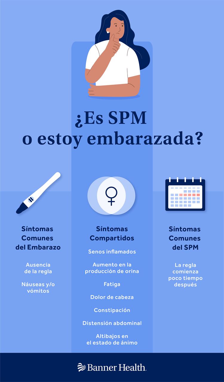 PMS or Pregnant Infographic Spanish