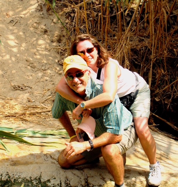 Courtesy Fink and Wilson_Hawaii